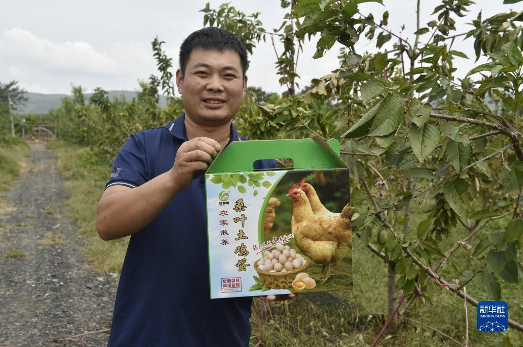 皇冠怎么注册账号